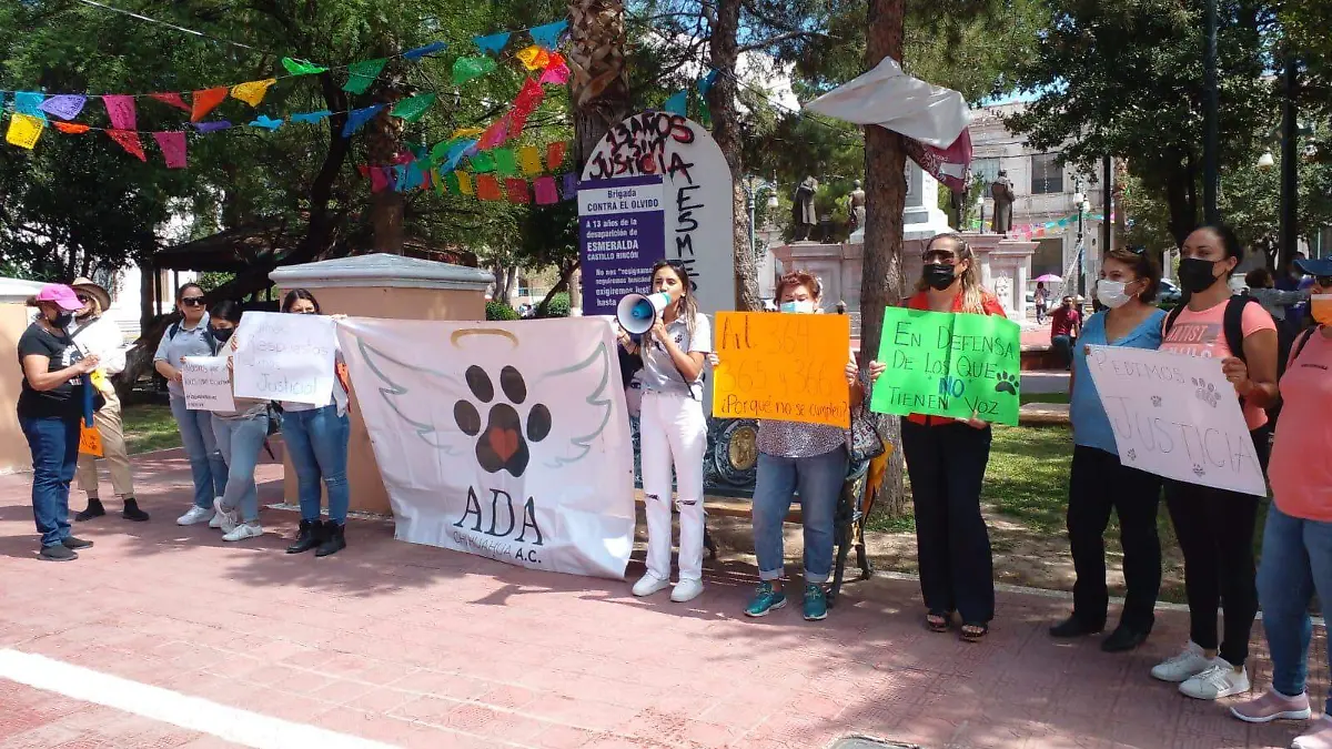 manifestacion por mascotas